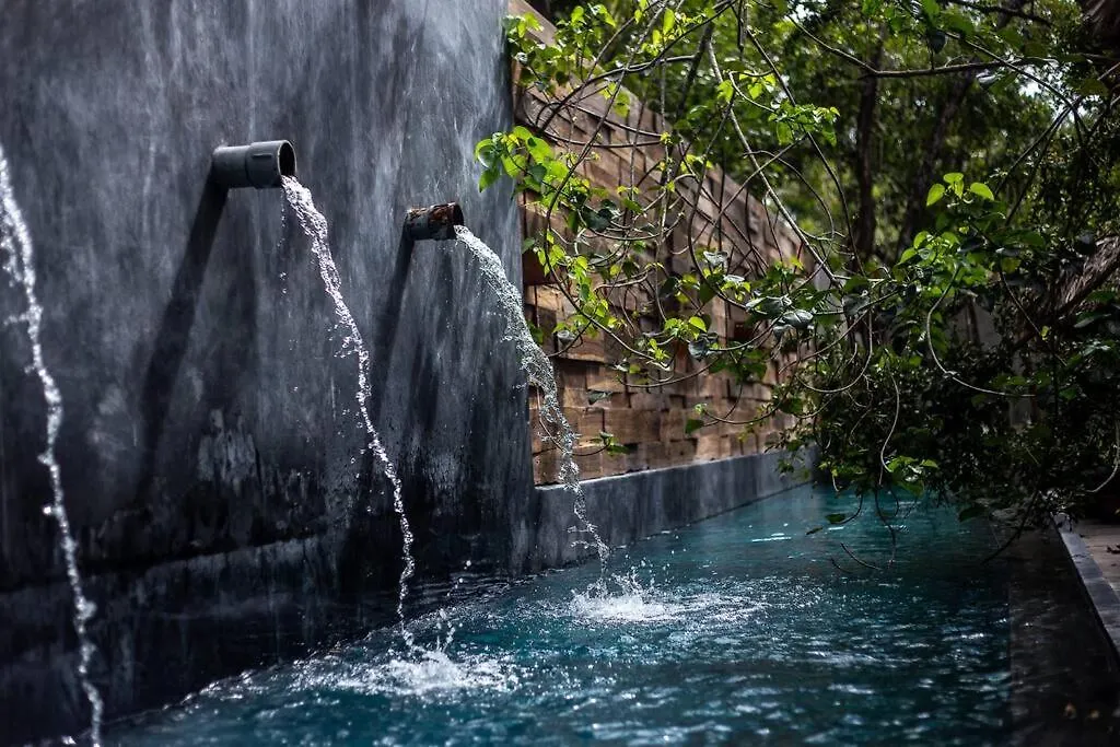 Totally Private Pool And Terrace @ La Veleta D5 Tulum Mexique