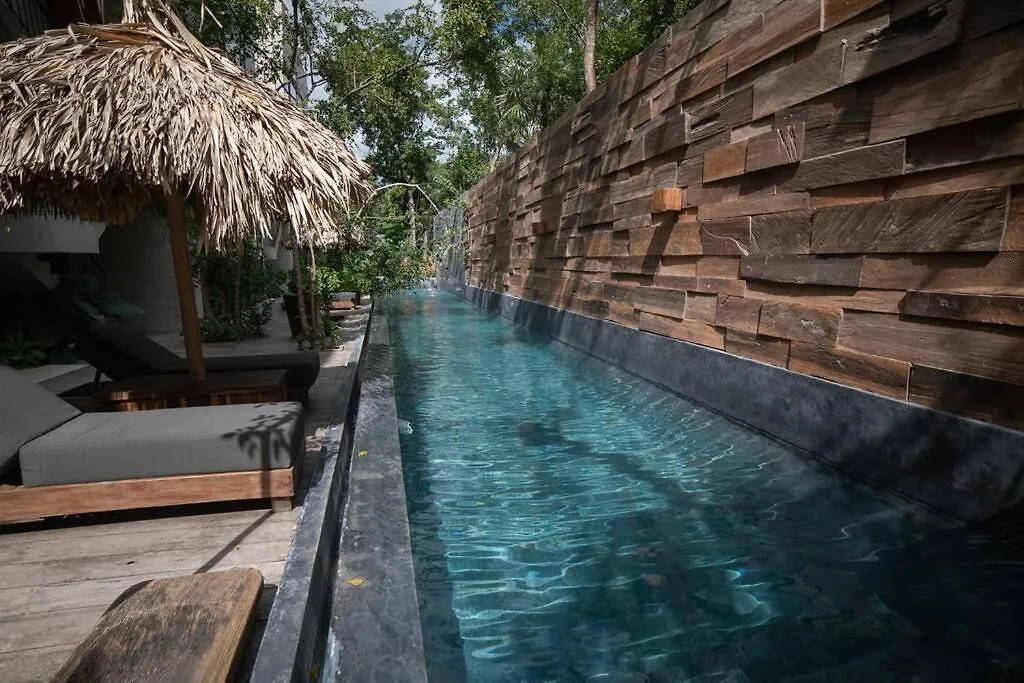 Totally Private Pool And Terrace @ La Veleta D5 Tulum 0*,  Mexique