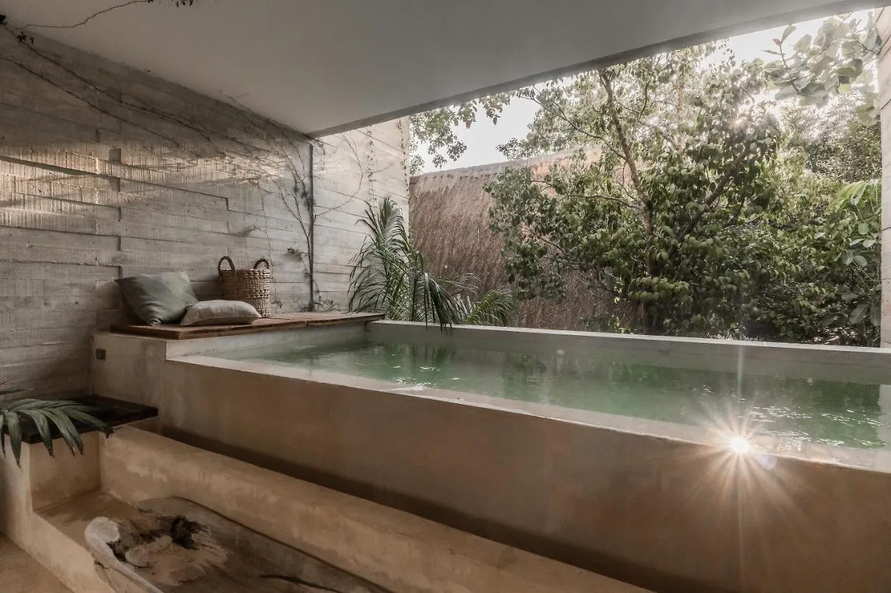 Appartement Totally Private Pool And Terrace @ La Veleta D5 Tulum
